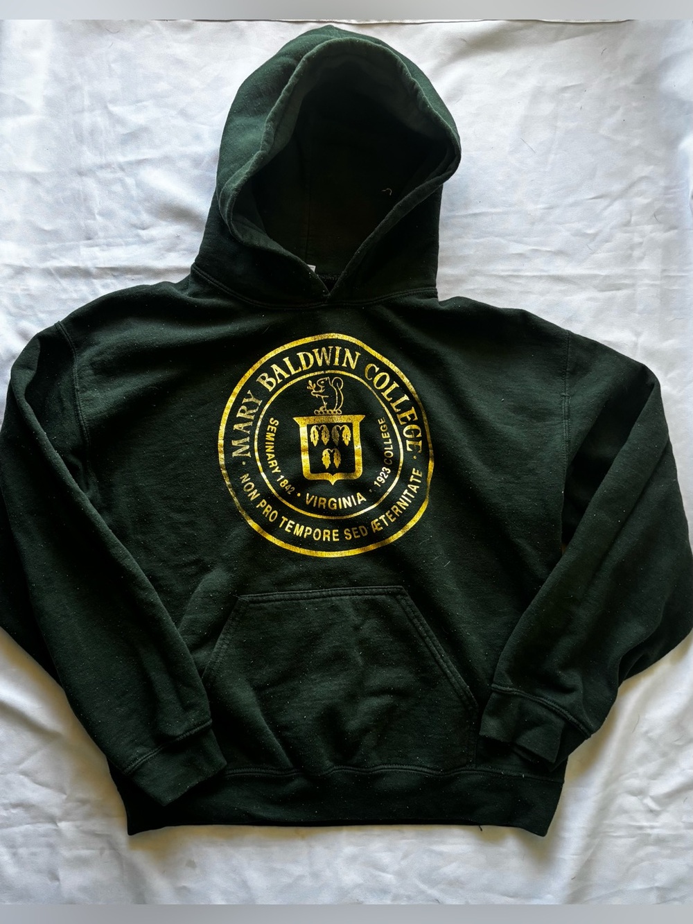 Vintage Mary Baldwin College Pullover Hoodie in Dark Green/Gold Sz M